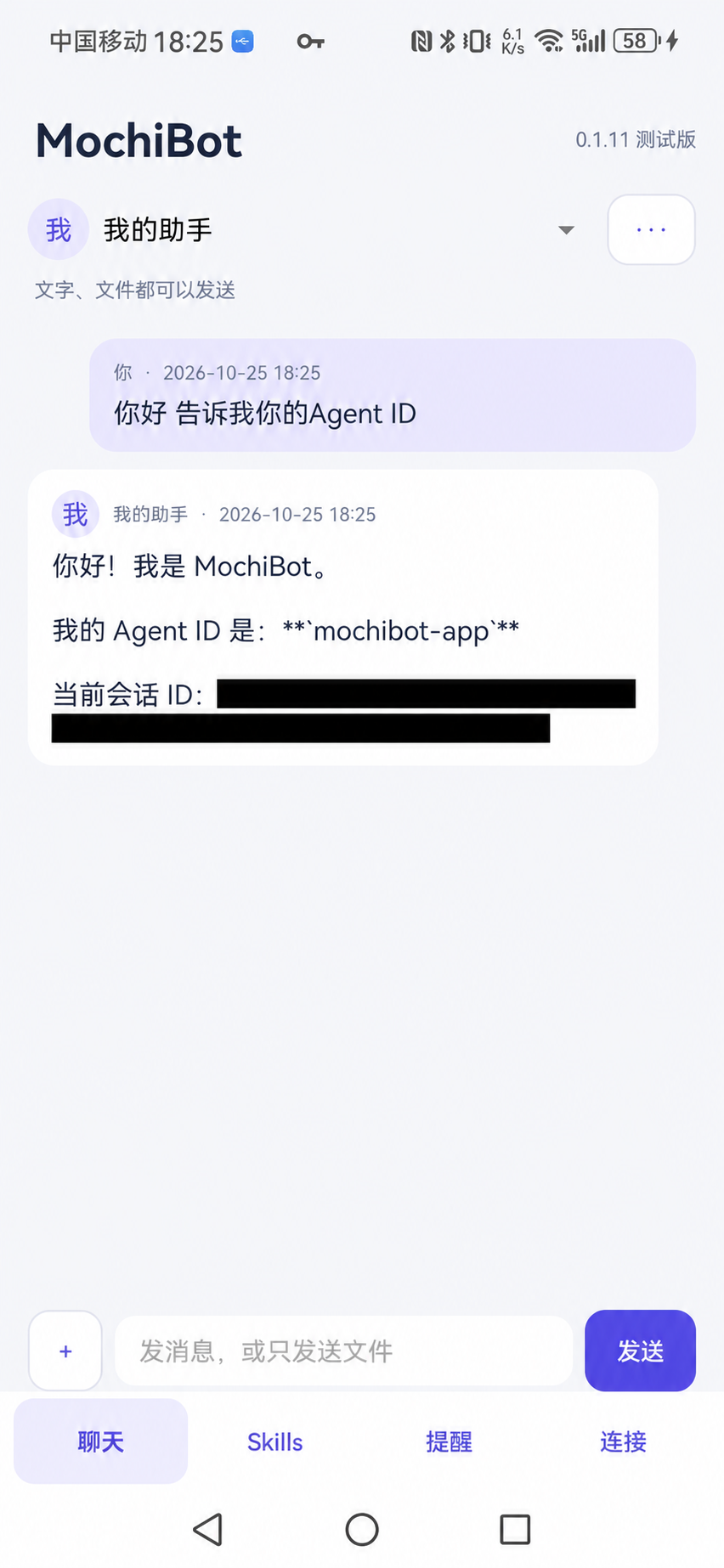 Chat after pairing; session identifier masked