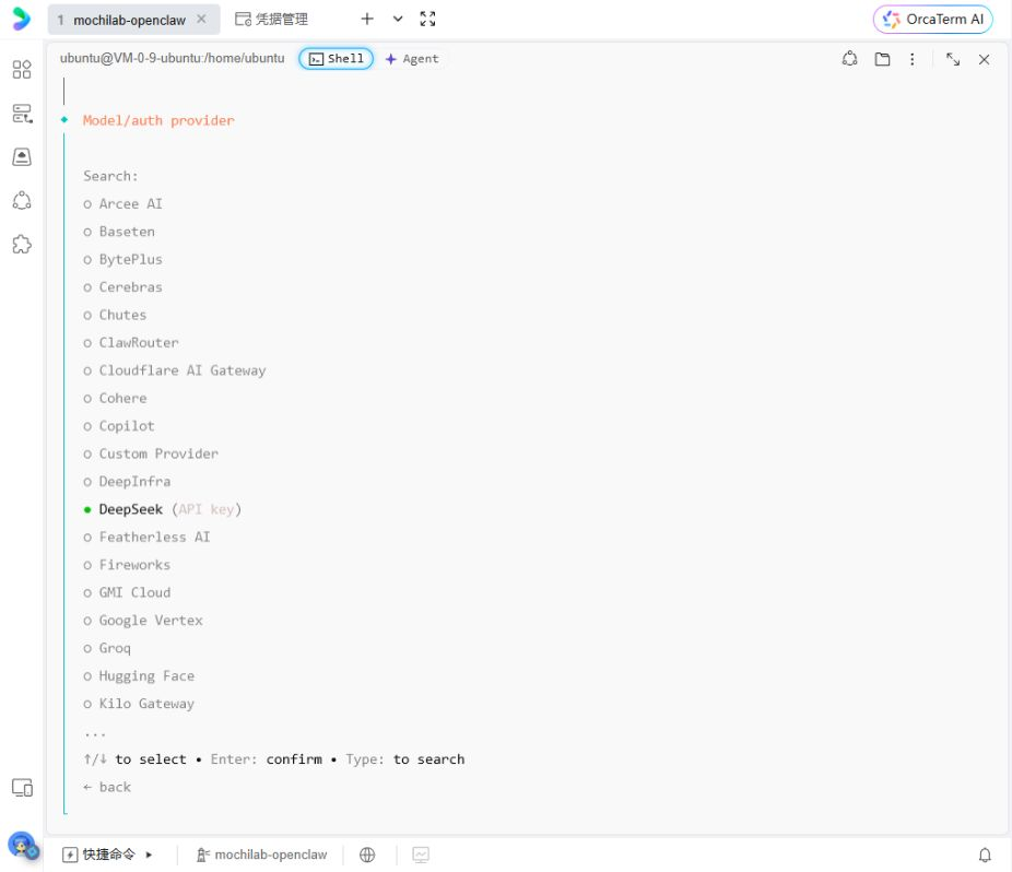 在扩展服务商列表中选择 DeepSeek API key